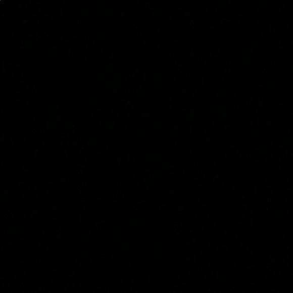 Meet your Posher, Rowan - Picture 1 of 1